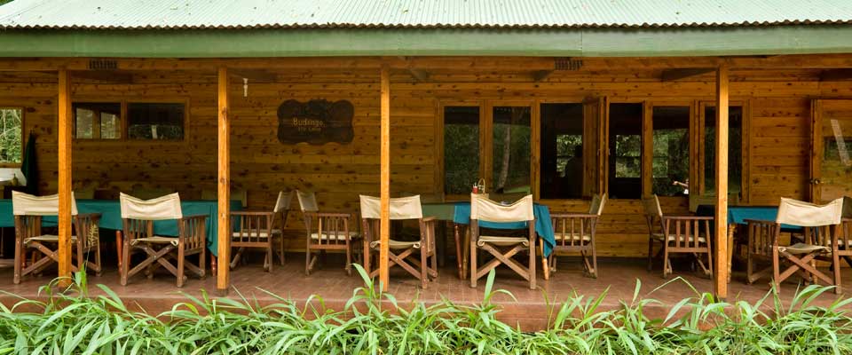 Budongo Eco Lodge thumbnail 6