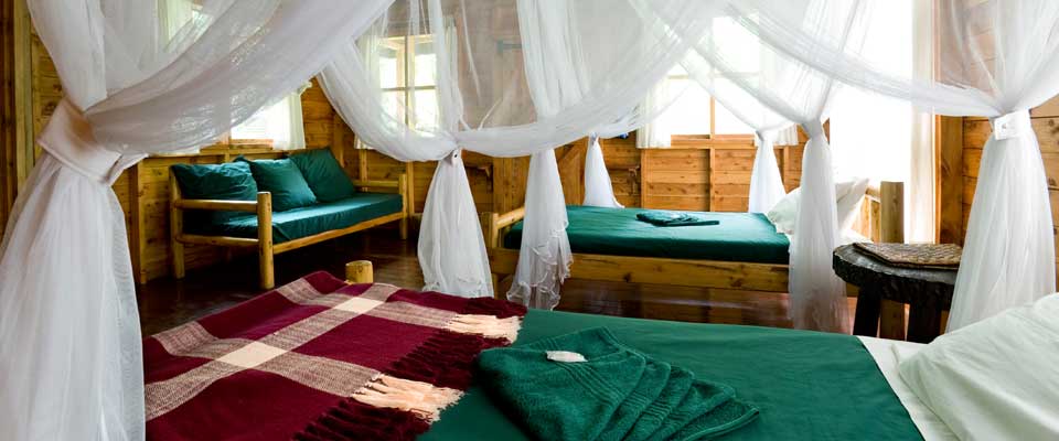 Budongo Eco Lodge thumbnail 3