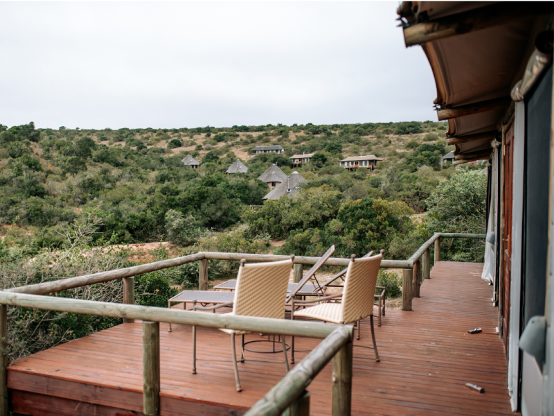 Bukela Game Lodge