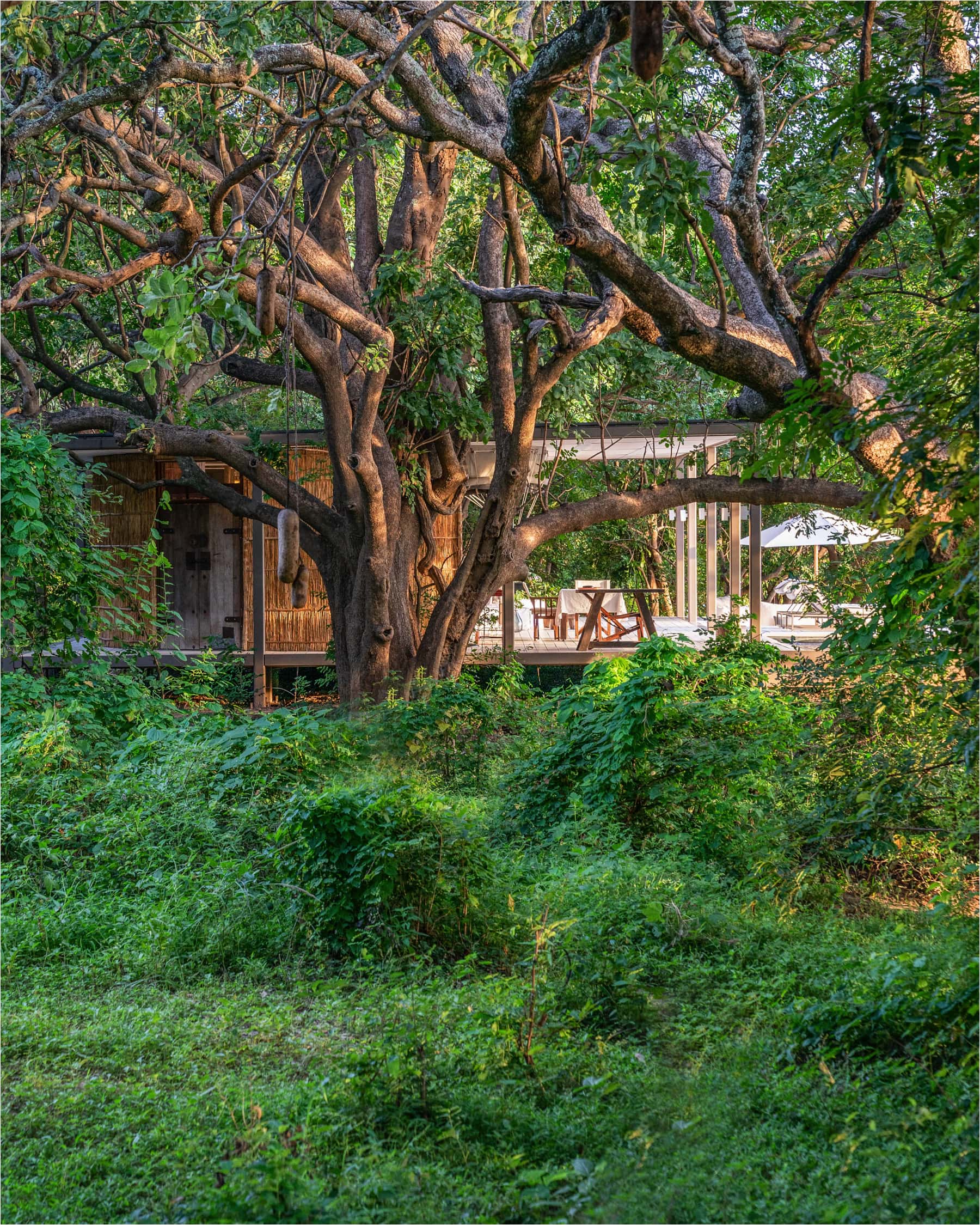 Time + Tide Chinzombo thumbnail 2