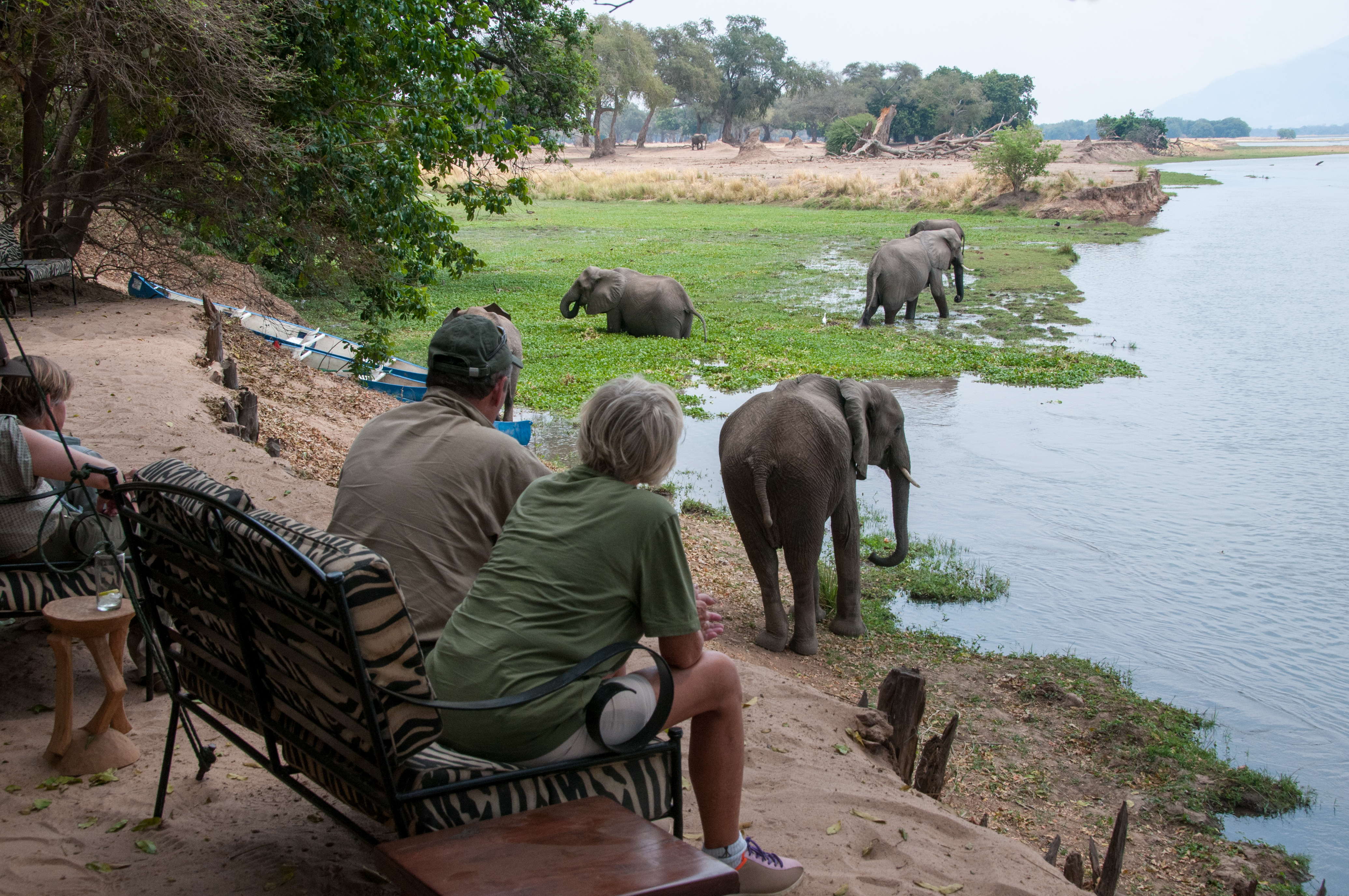 Stretch Ferreira Safaris - Goliath Camp