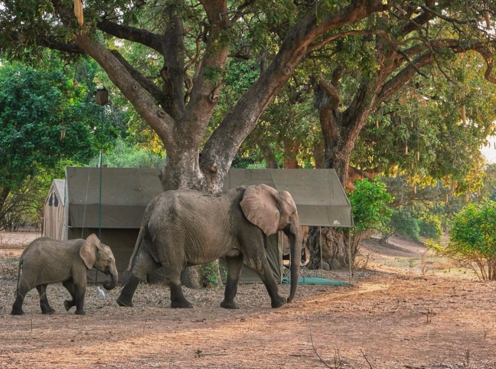 The Woodlands at Waterberry Zambezi Lodge