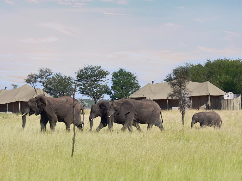 One Nature Nyaruswiga thumbnail 2