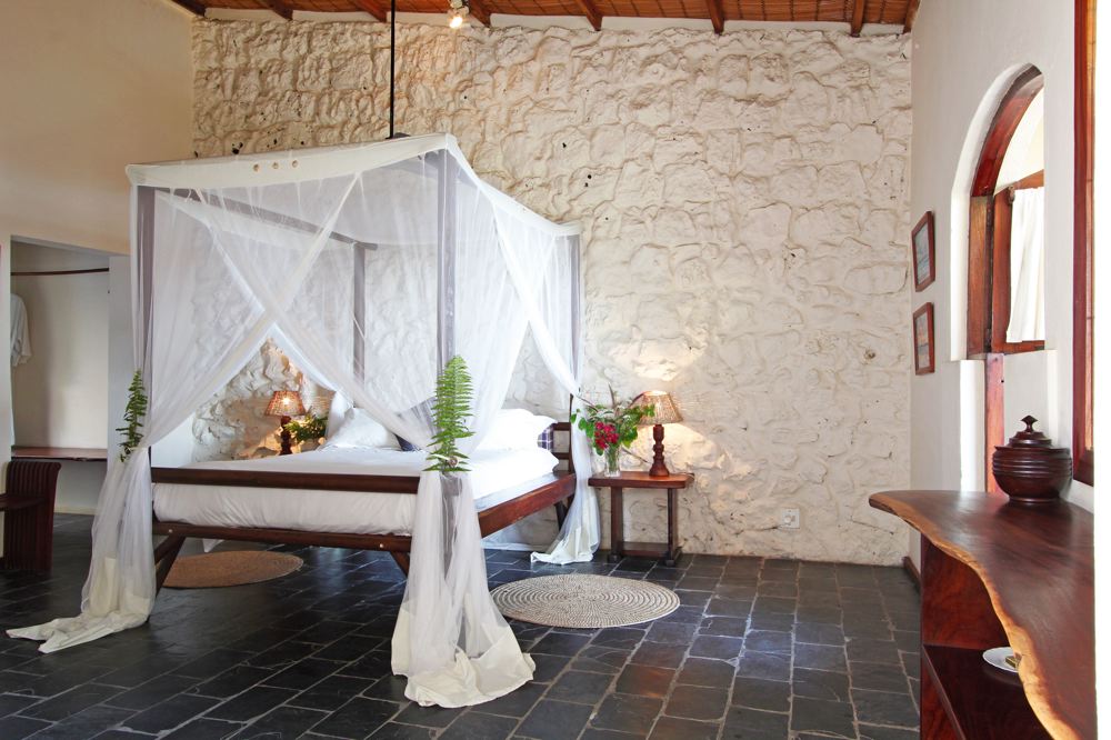 Casa Rex thumbnail 4