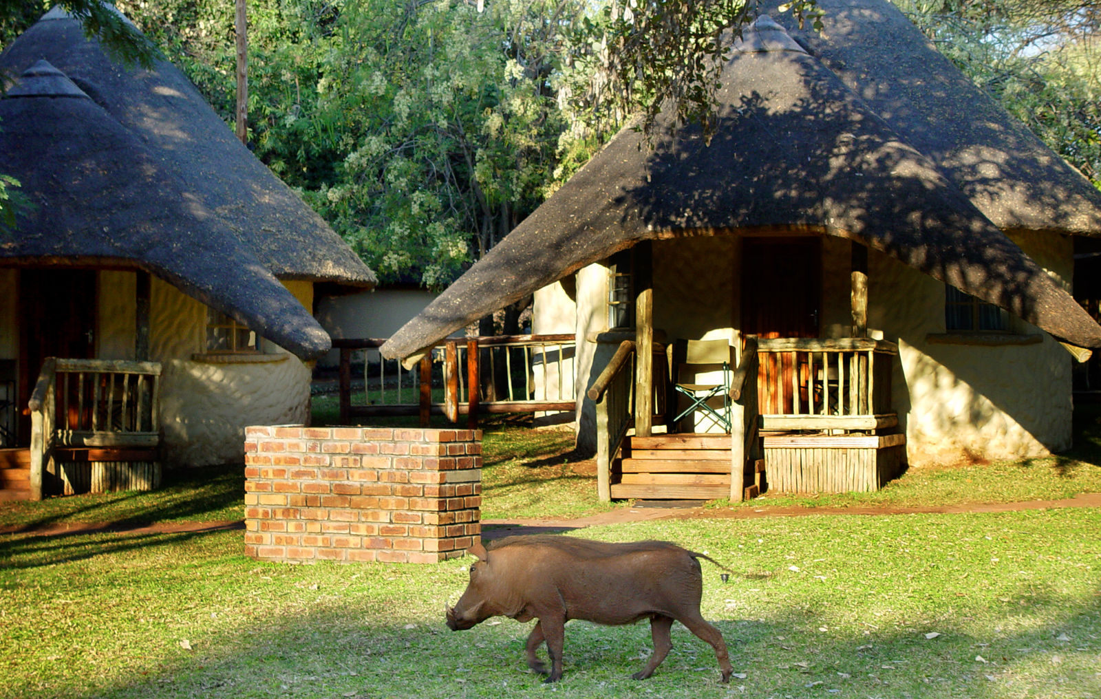 Chobe Safari Lodge thumbnail 4