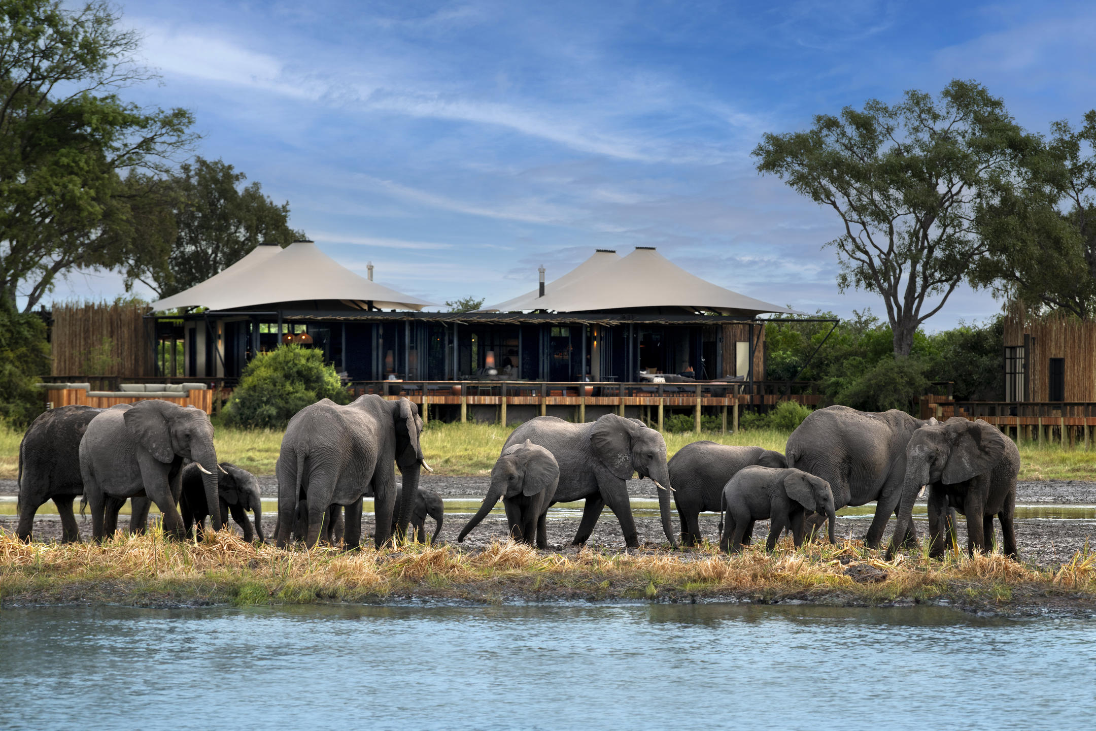 Daunara Safari Camp thumbnail 2