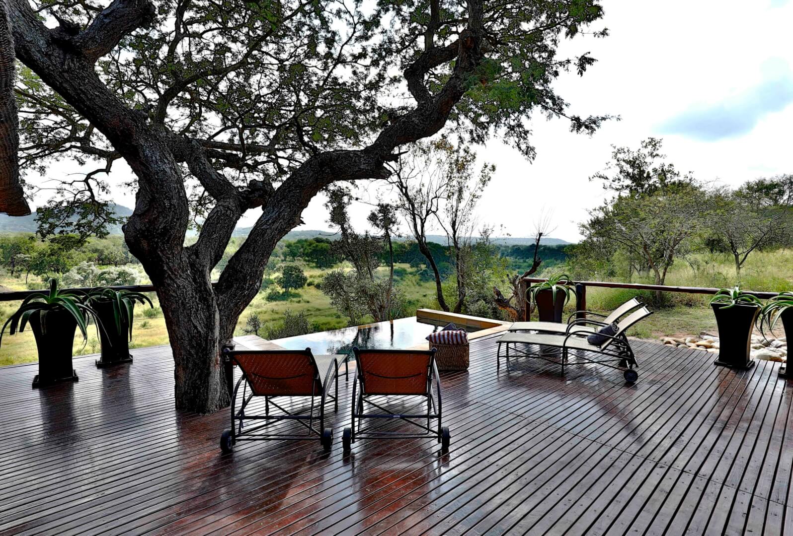 Amakhosi Safari Lodge thumbnail 10