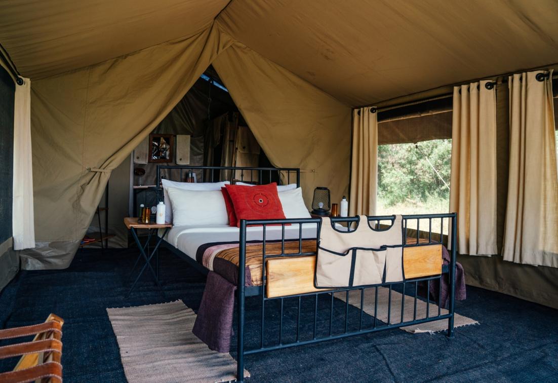 Intimate Camp Zebra thumbnail 5