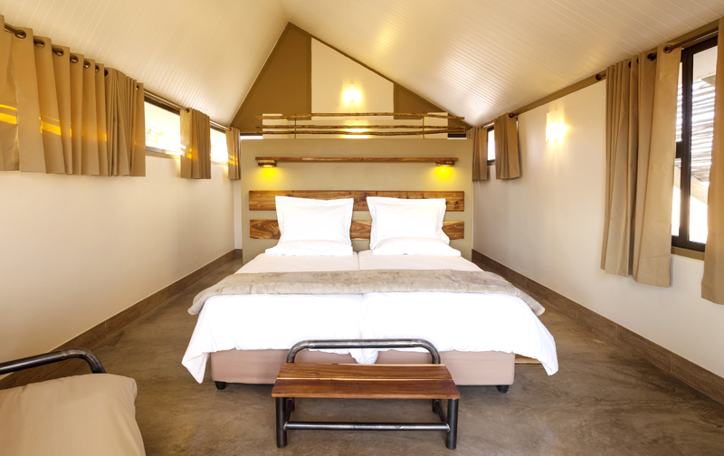 Desert Quiver Camp thumbnail 6