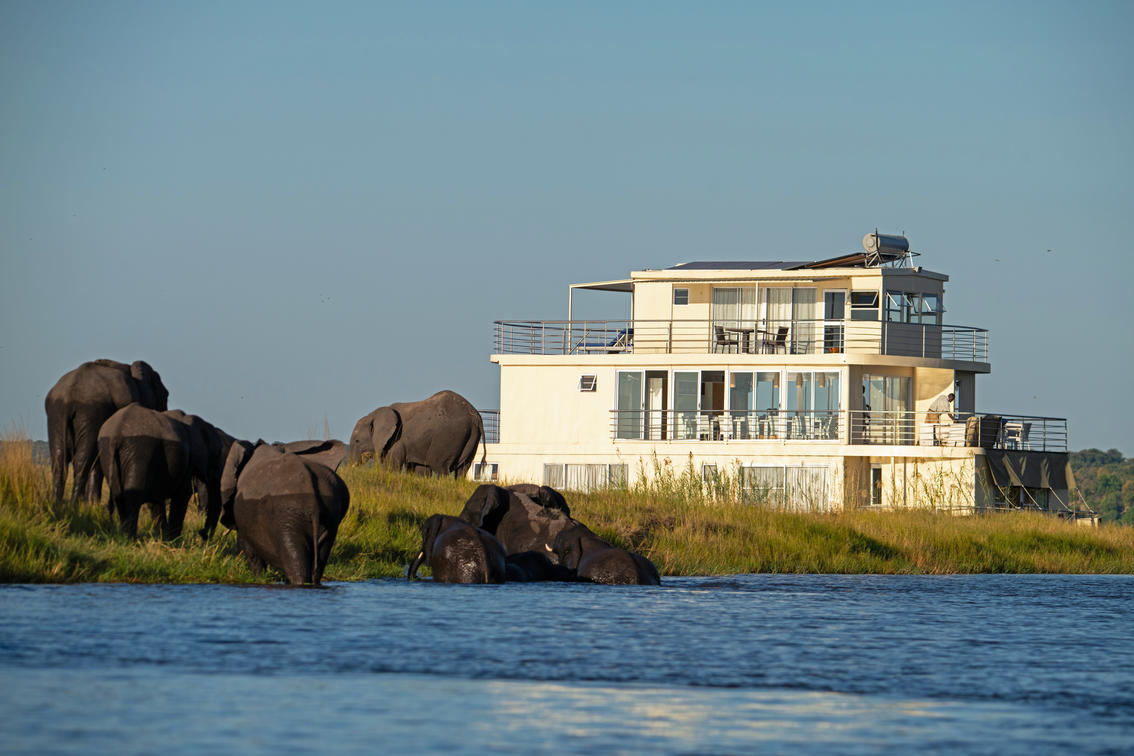 The Chobe Princesses by Mantis
