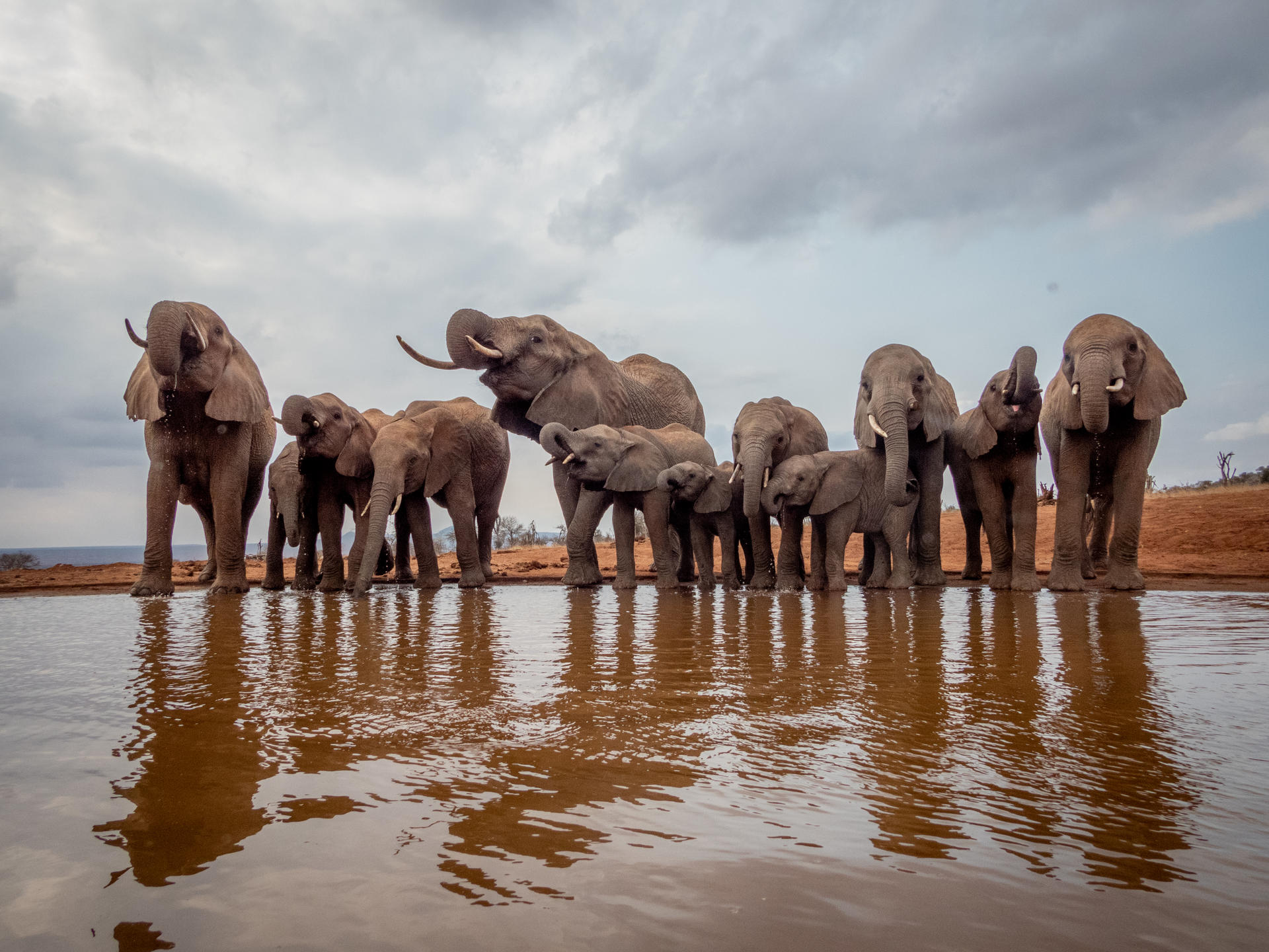 Soroi Lion's Bluff Lodge thumbnail 12