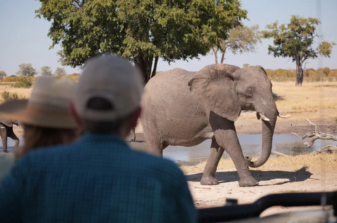 Great Guide Safaris Kennedy Fly Camp thumbnail 5