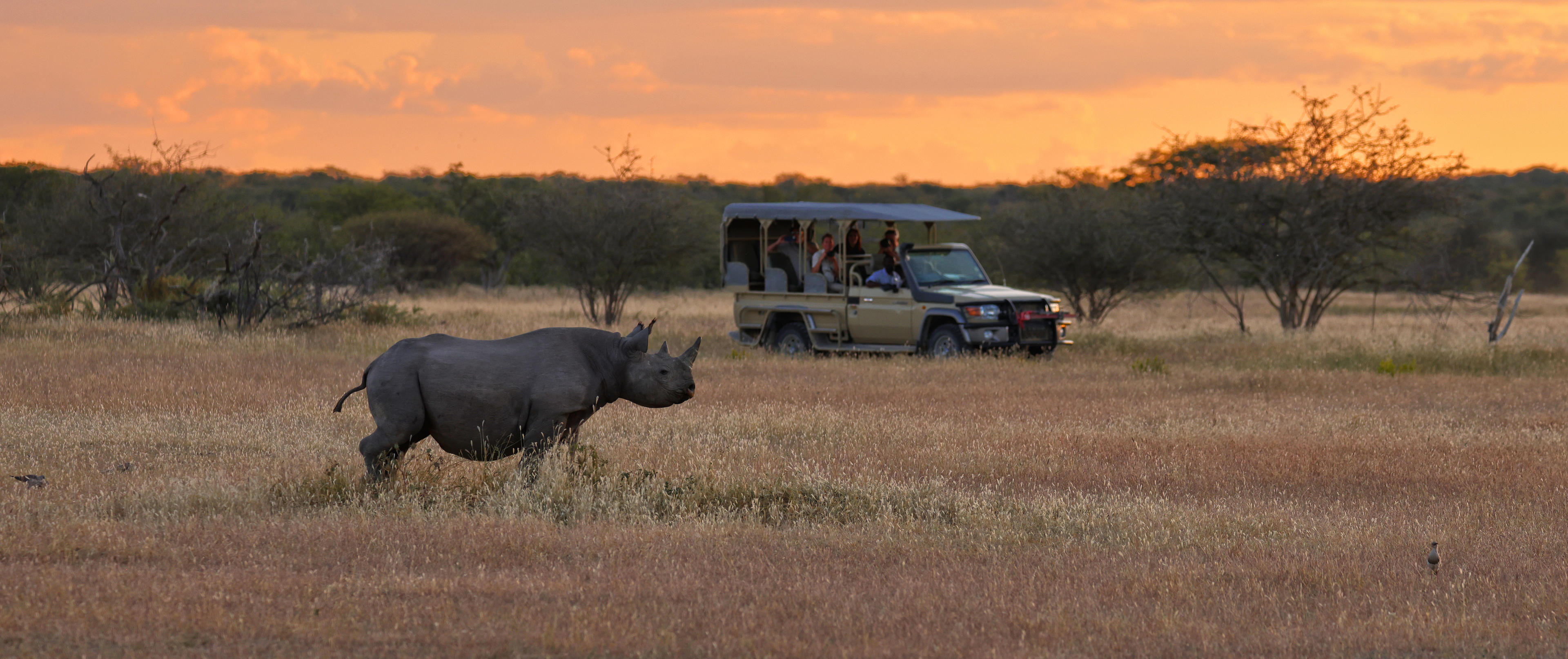 Etosha Mountain Lodge thumbnail 6