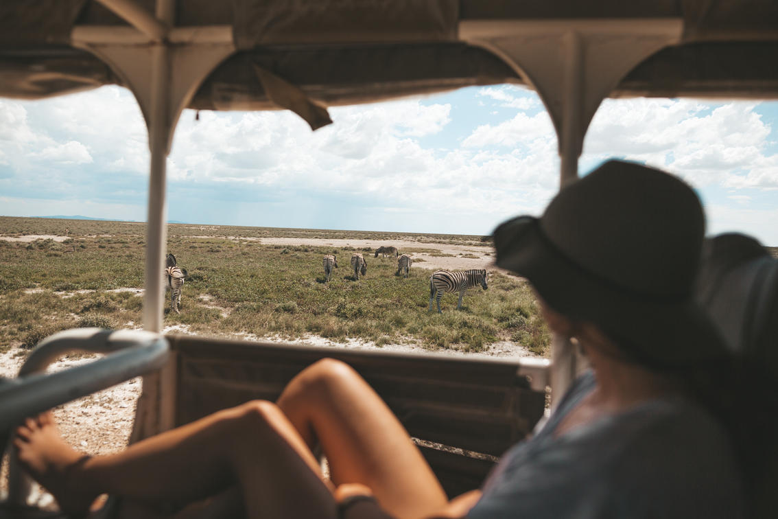 Etosha Safari Camp thumbnail 6
