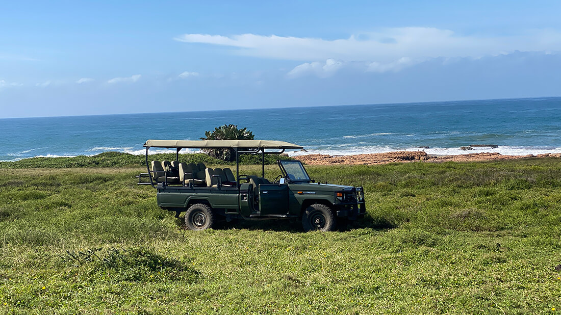 GweGwe Beach Lodge thumbnail 6