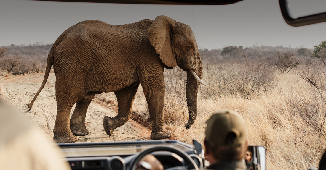 Lush Private Lodge thumbnail 1