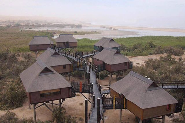 The Stiltz thumbnail 3