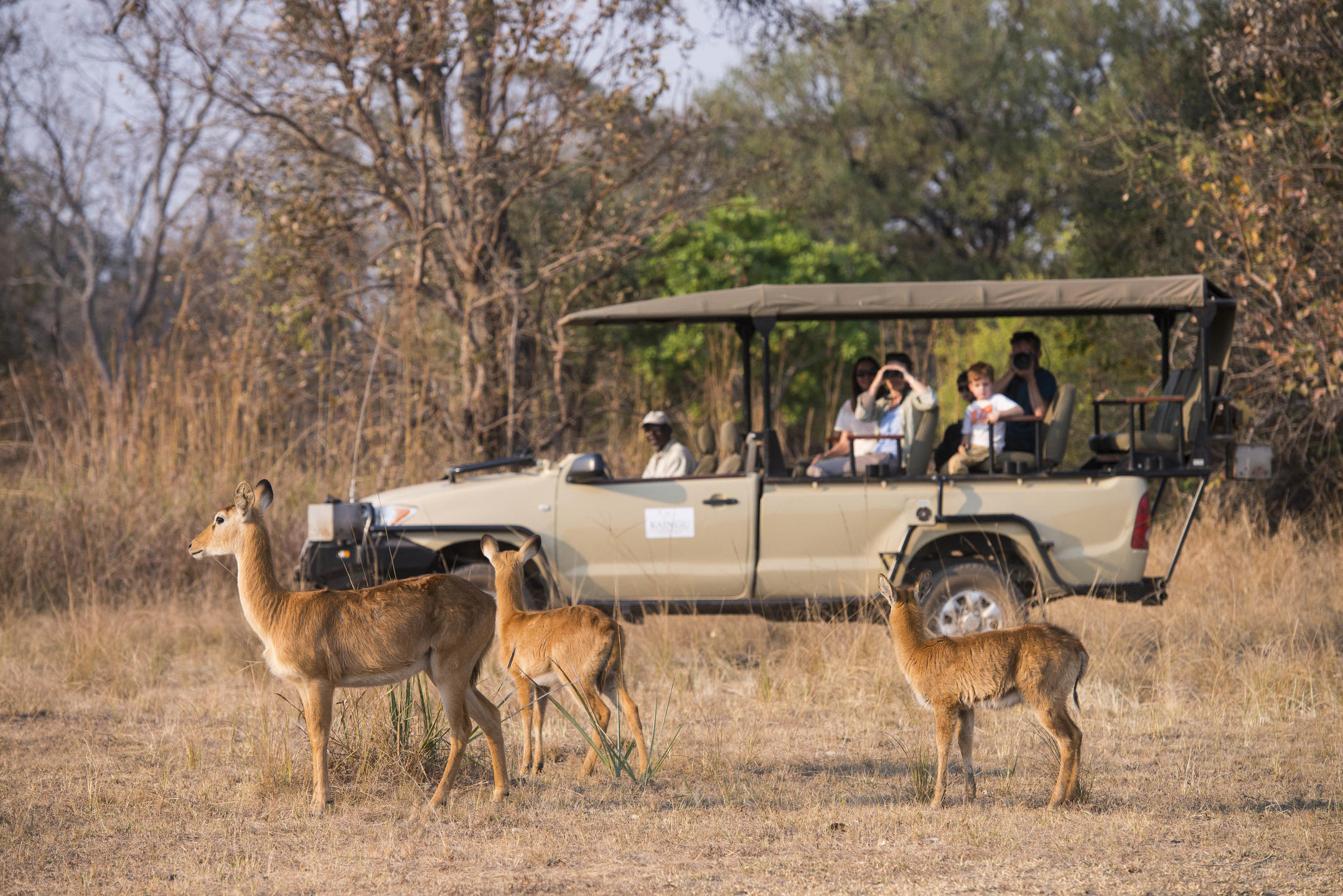 Kaingu Safari Lodge thumbnail 10