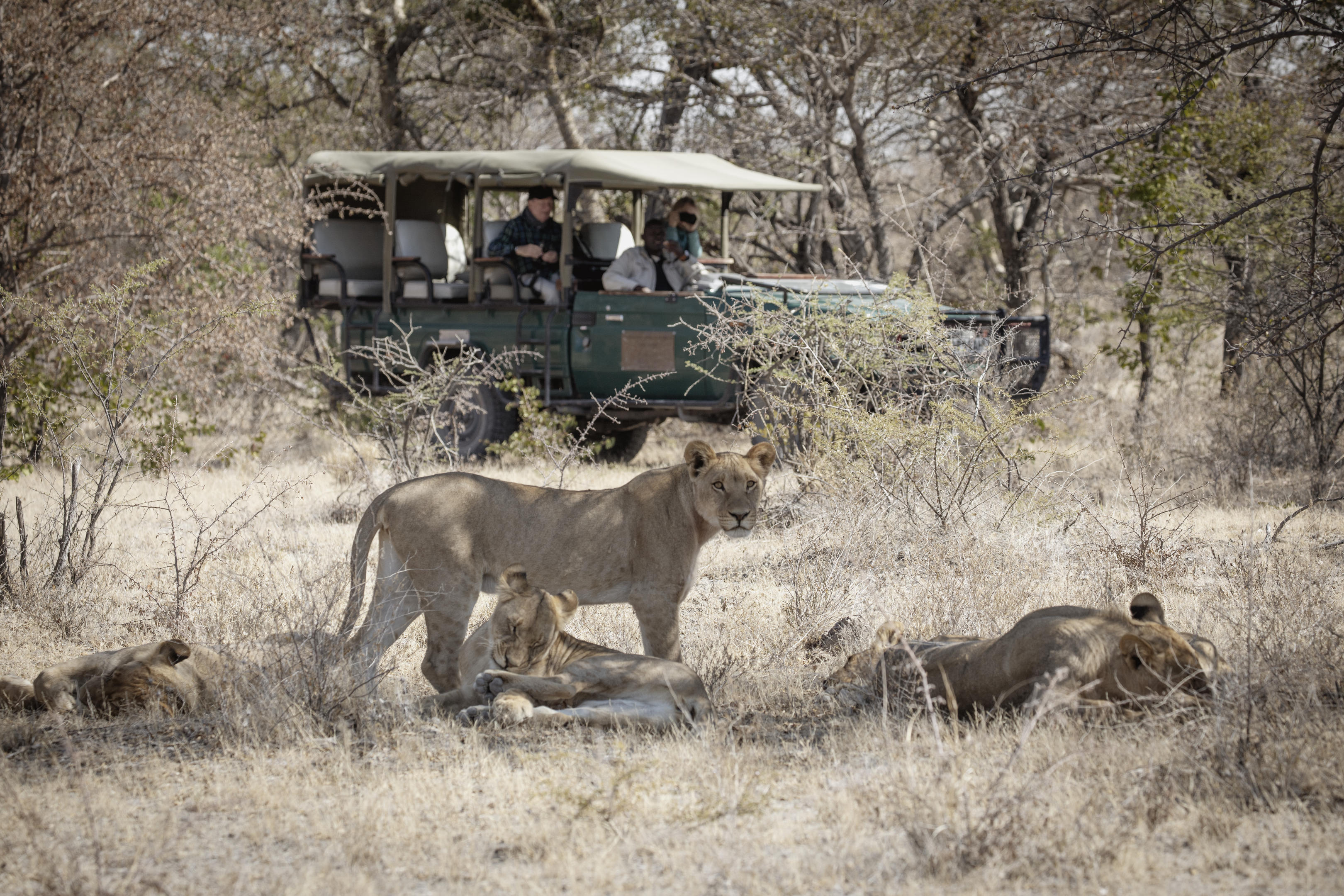 Camp Kalahari thumbnail 12