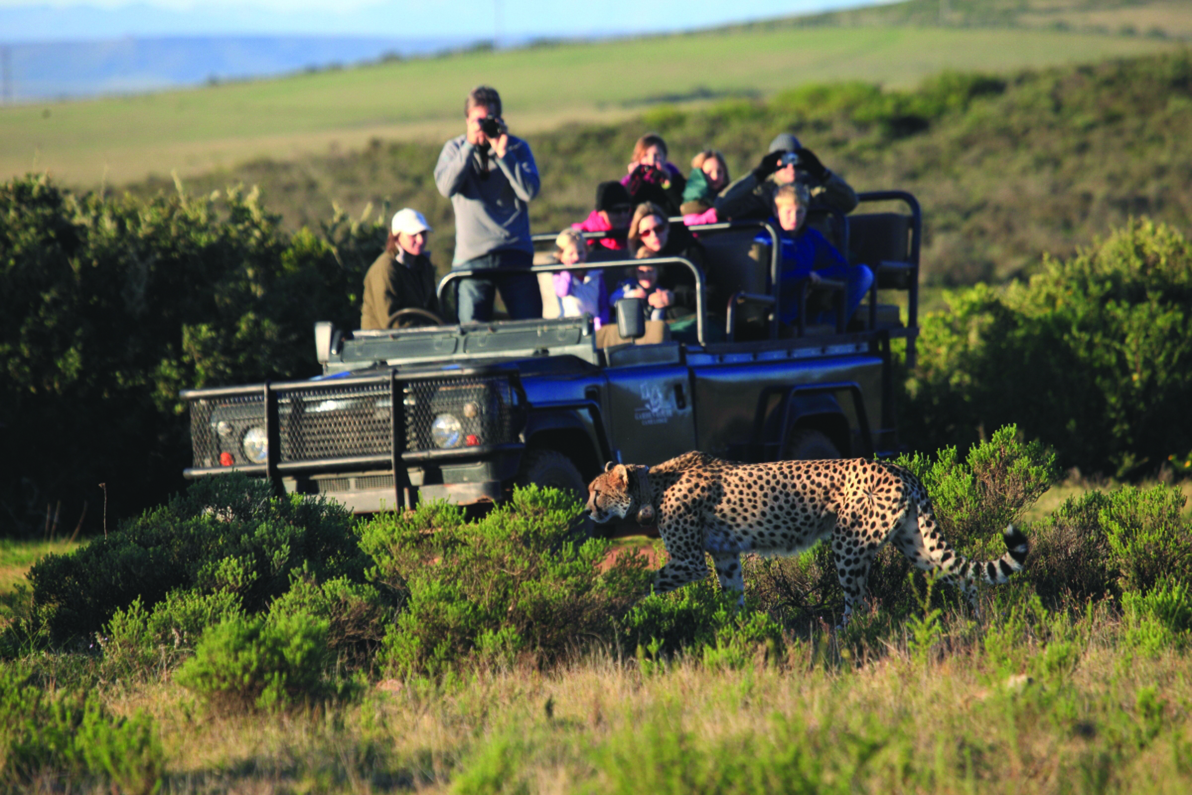 Garden Route Game Lodge thumbnail 1