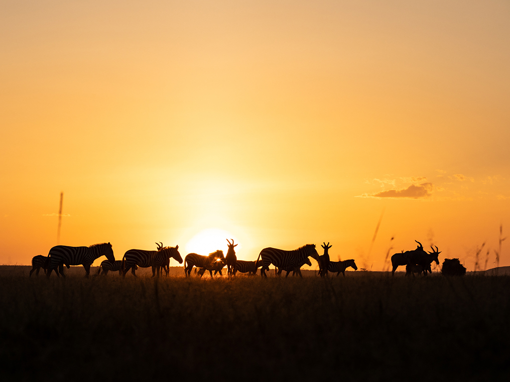 Mara Expedition Camp thumbnail 6