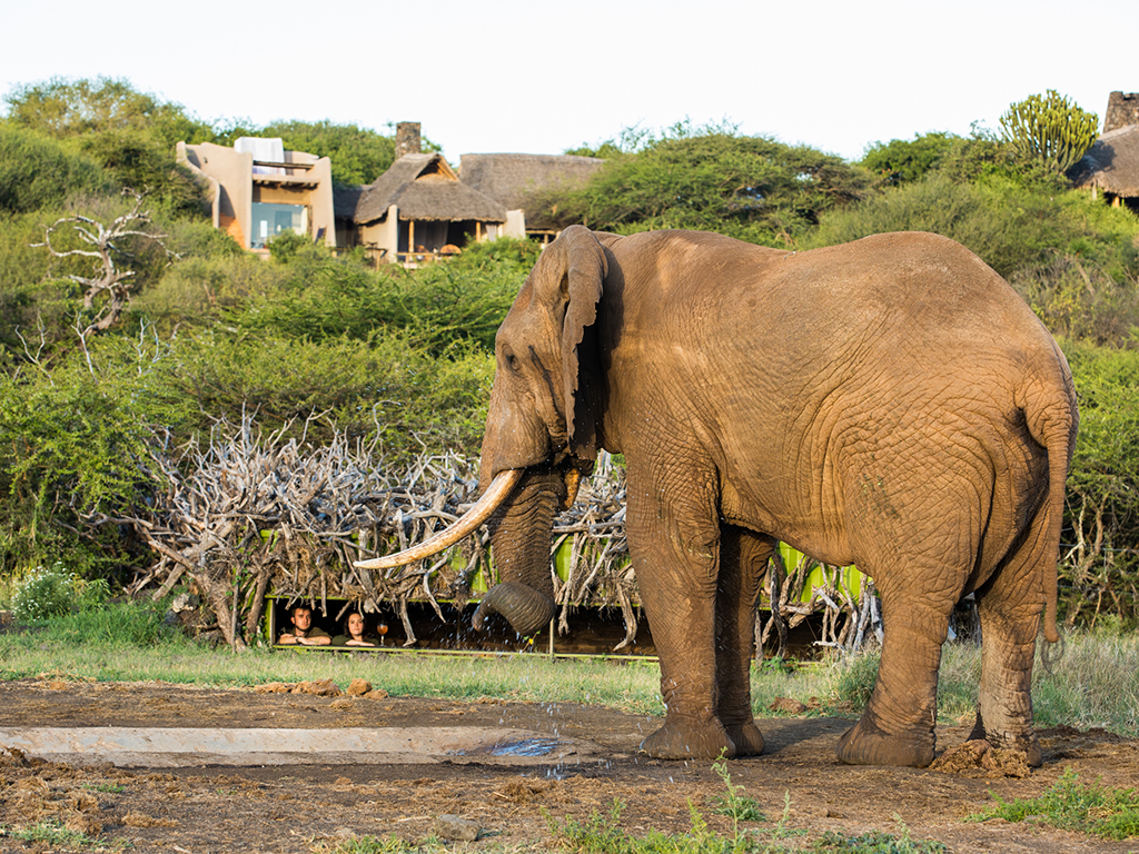 ol Donyo Lodge thumbnail 1