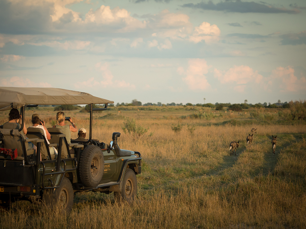 Duba Plains Camp thumbnail 2