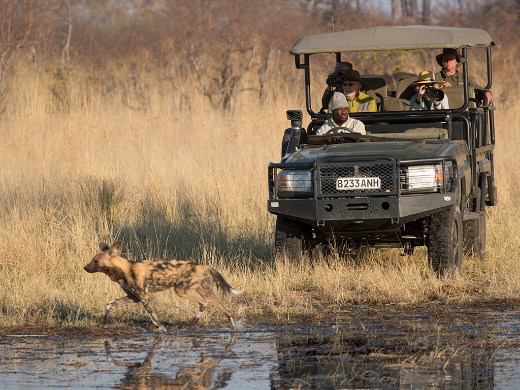 Selinda Explorers Camp thumbnail 5