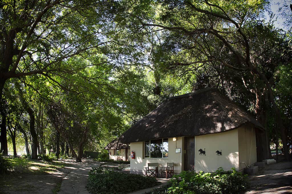 Island Safari Lodge thumbnail 4