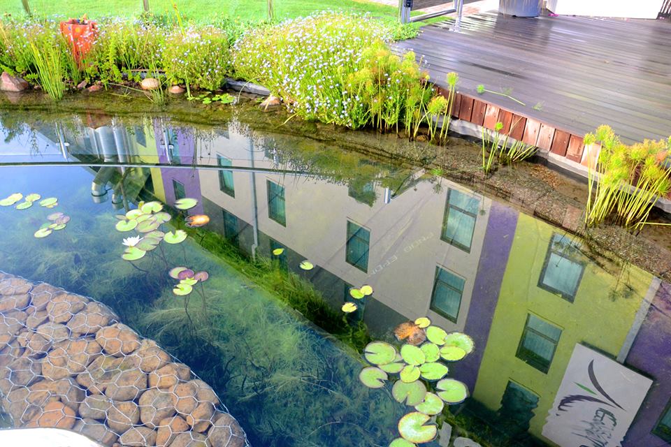 Hotel Verde Cape Town Airport thumbnail 9