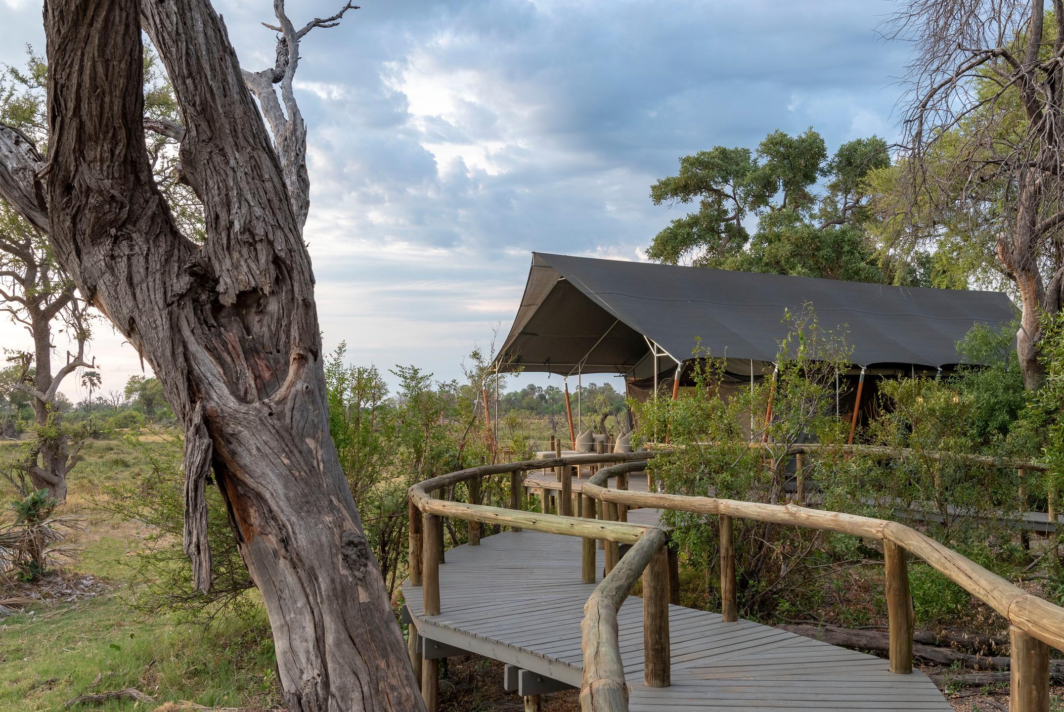 Gomoti Private Camp