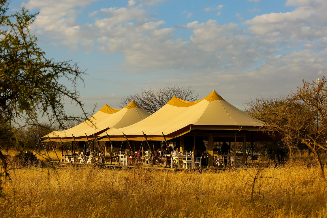 Intimate Camp Seronera