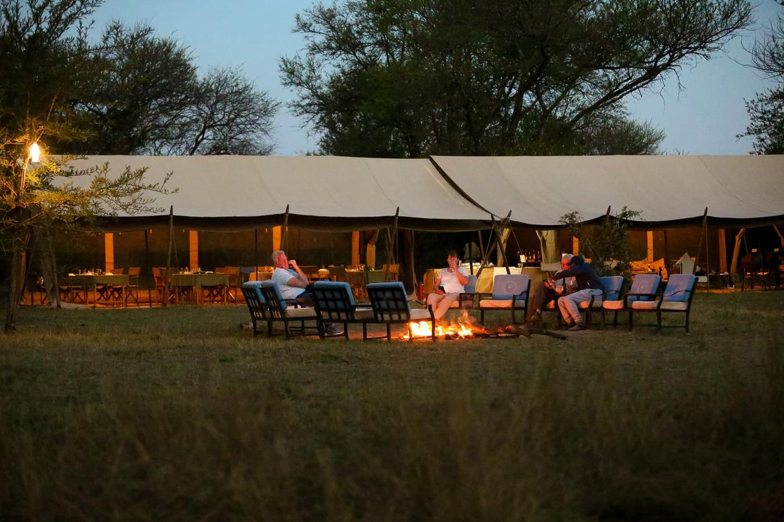Intimate Camp Zebra thumbnail 3