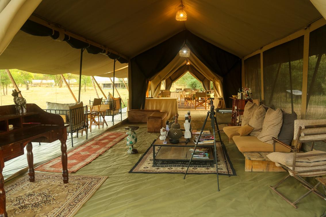 Intimate Camp Zebra thumbnail 2