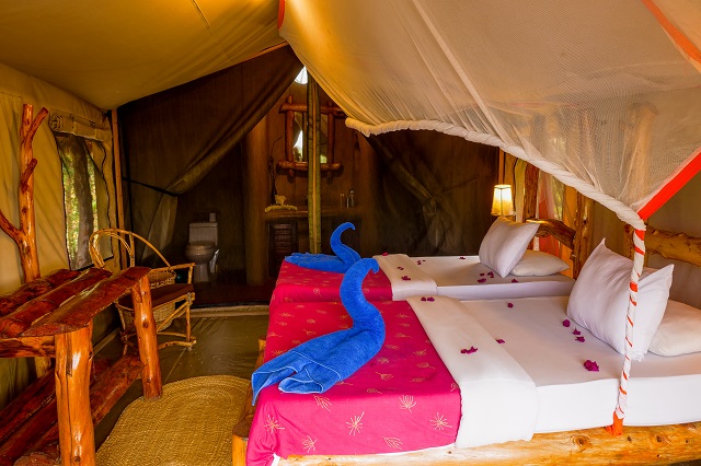 Ikoma Tented Camp thumbnail 6