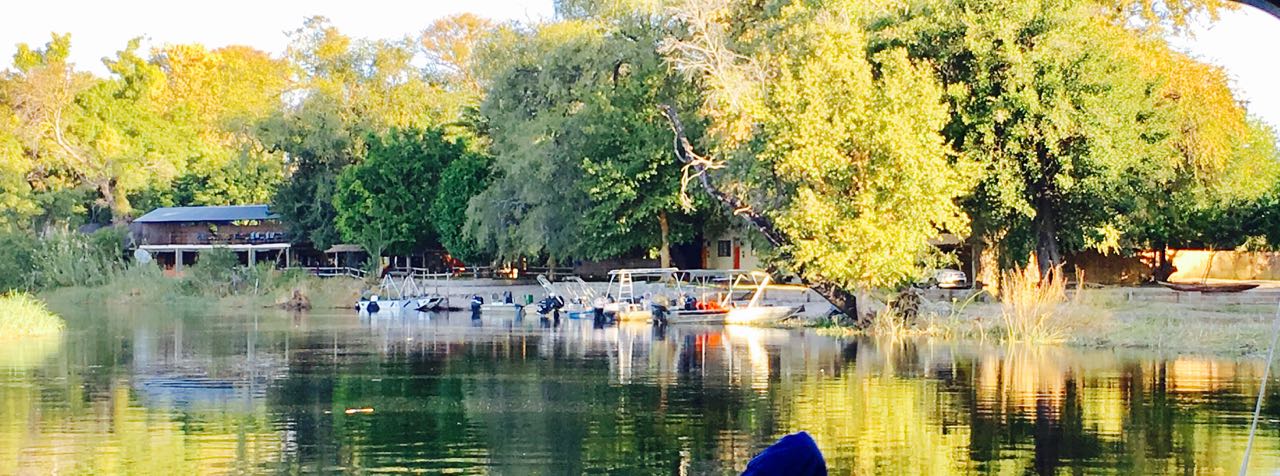 Swamp Stop thumbnail 2