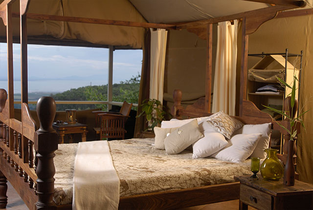 Swamp Stop thumbnail 3