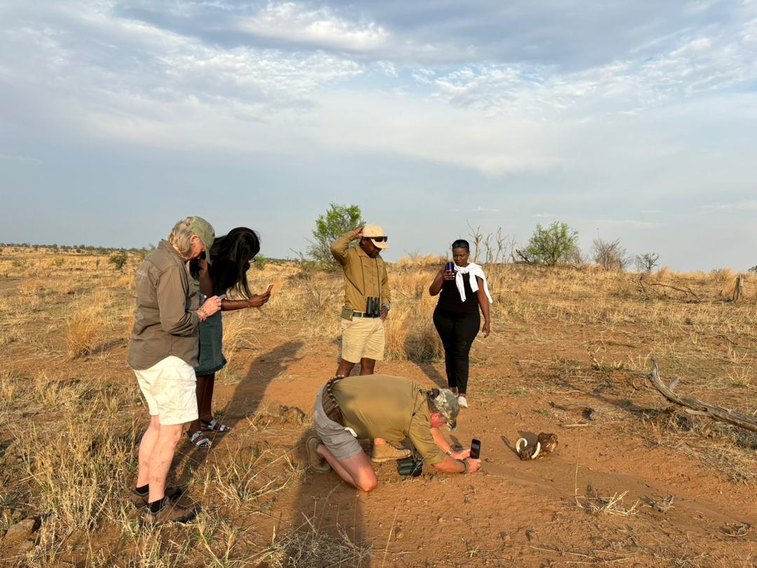 Daka Plains Camp thumbnail 5