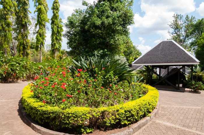 Aishi Machame Hotel thumbnail 4