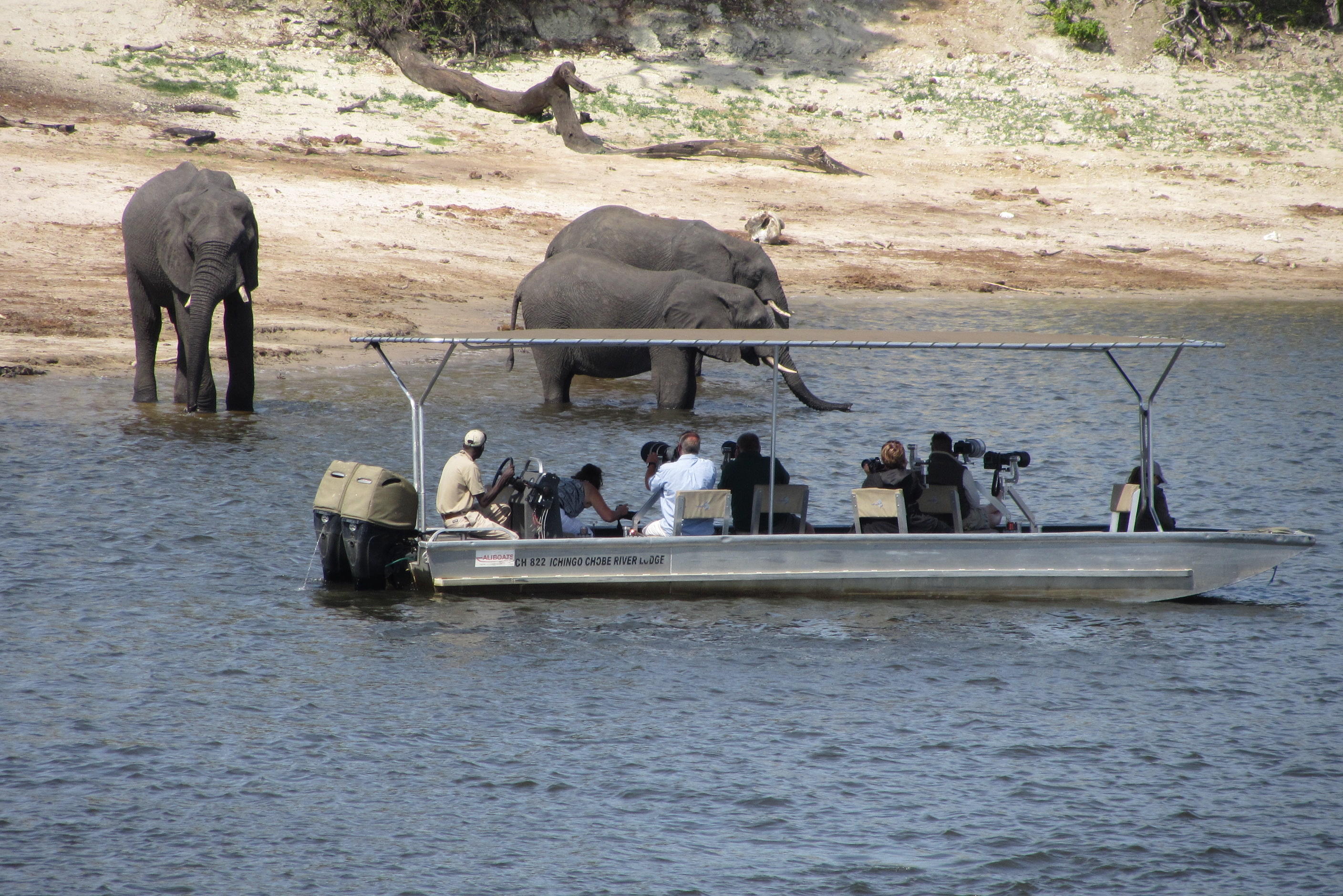 Ichingo Chobe River Lodge by Mantis thumbnail 7