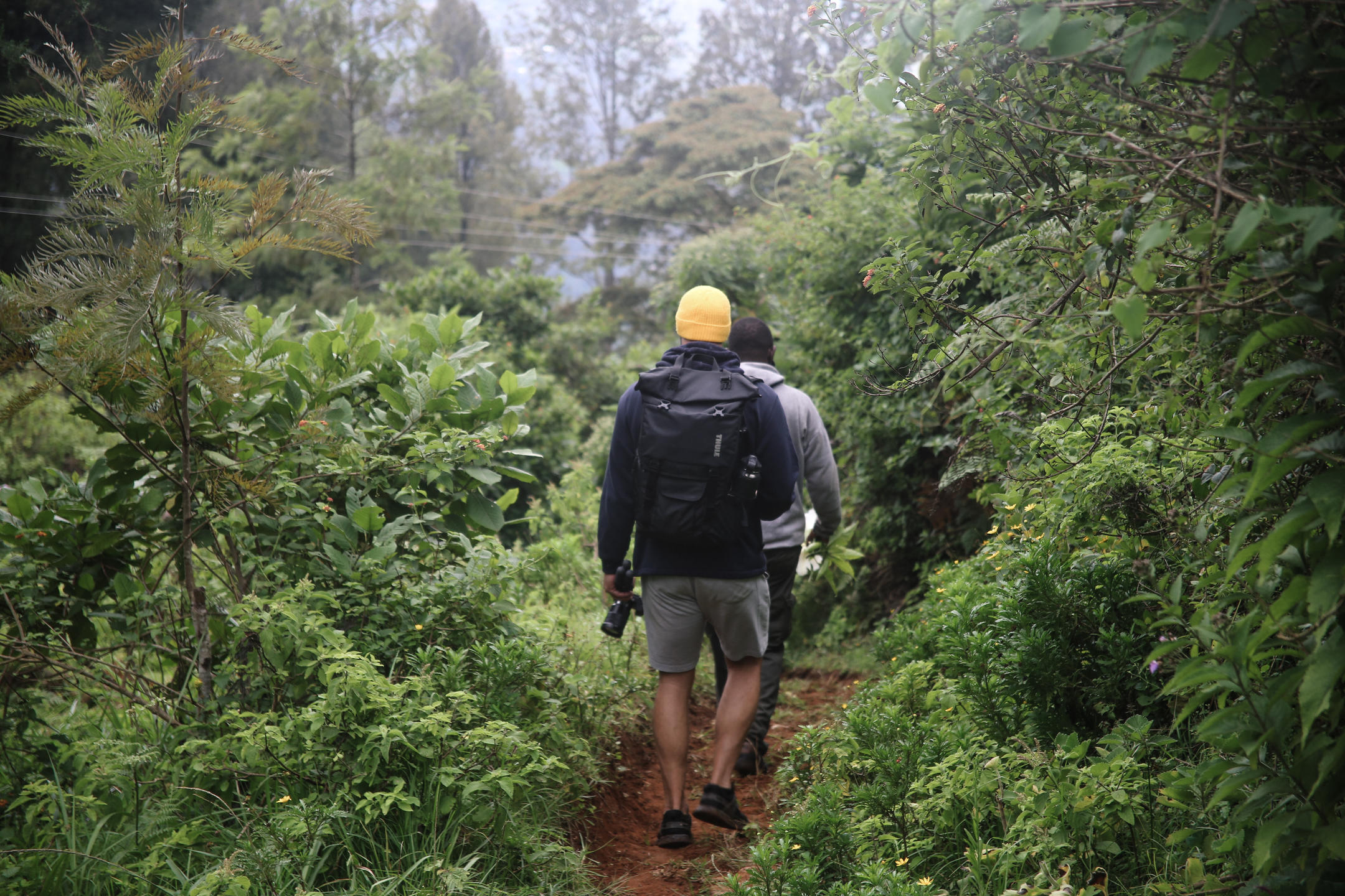 Soroi Lion's Bluff Lodge thumbnail 15