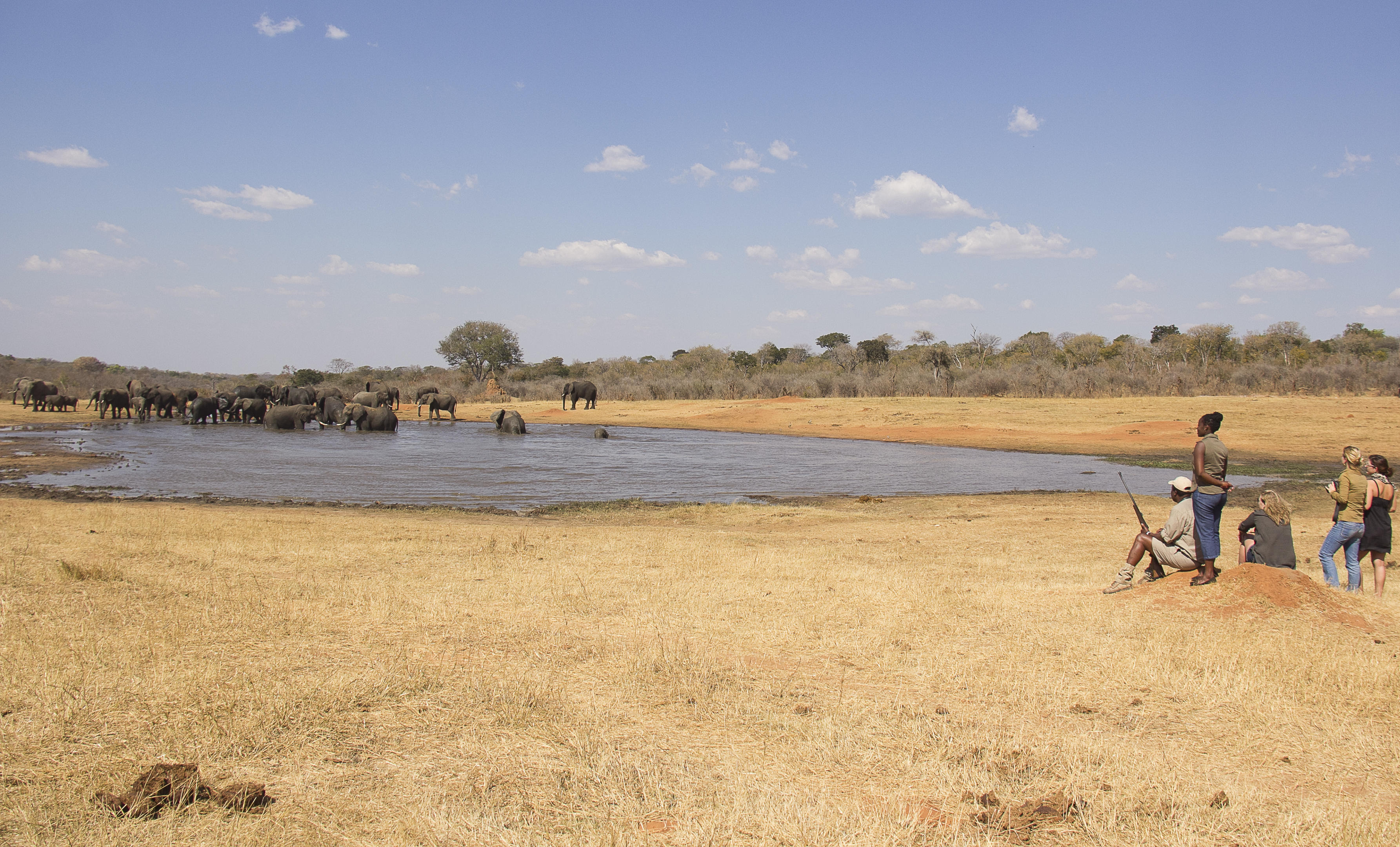 Ivory Lodge thumbnail 9