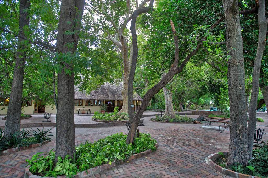 Island Safari Lodge thumbnail 10