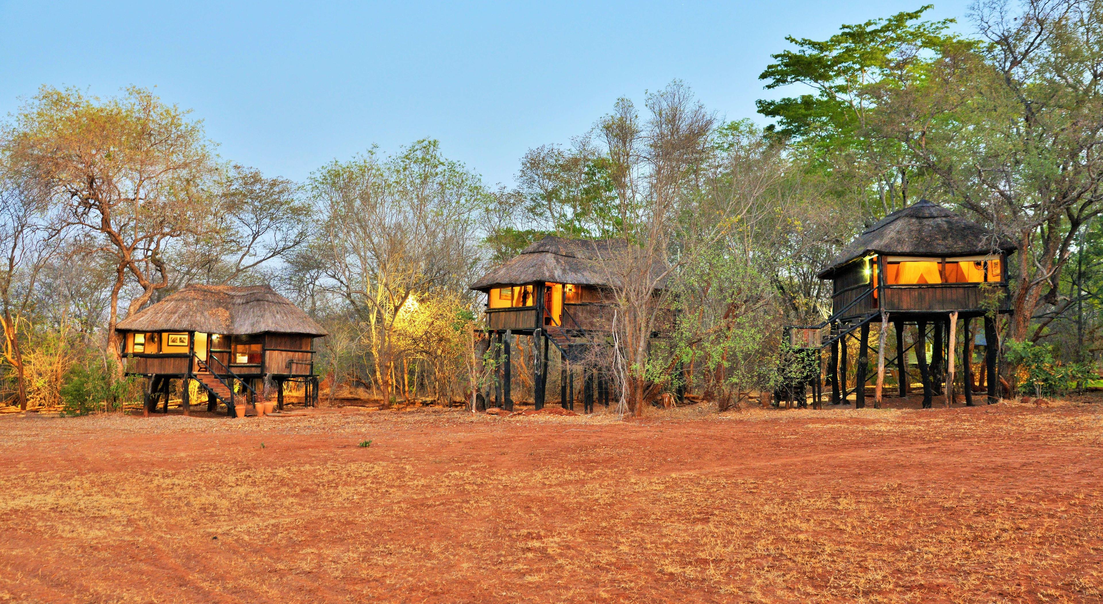 Ivory Lodge - 1