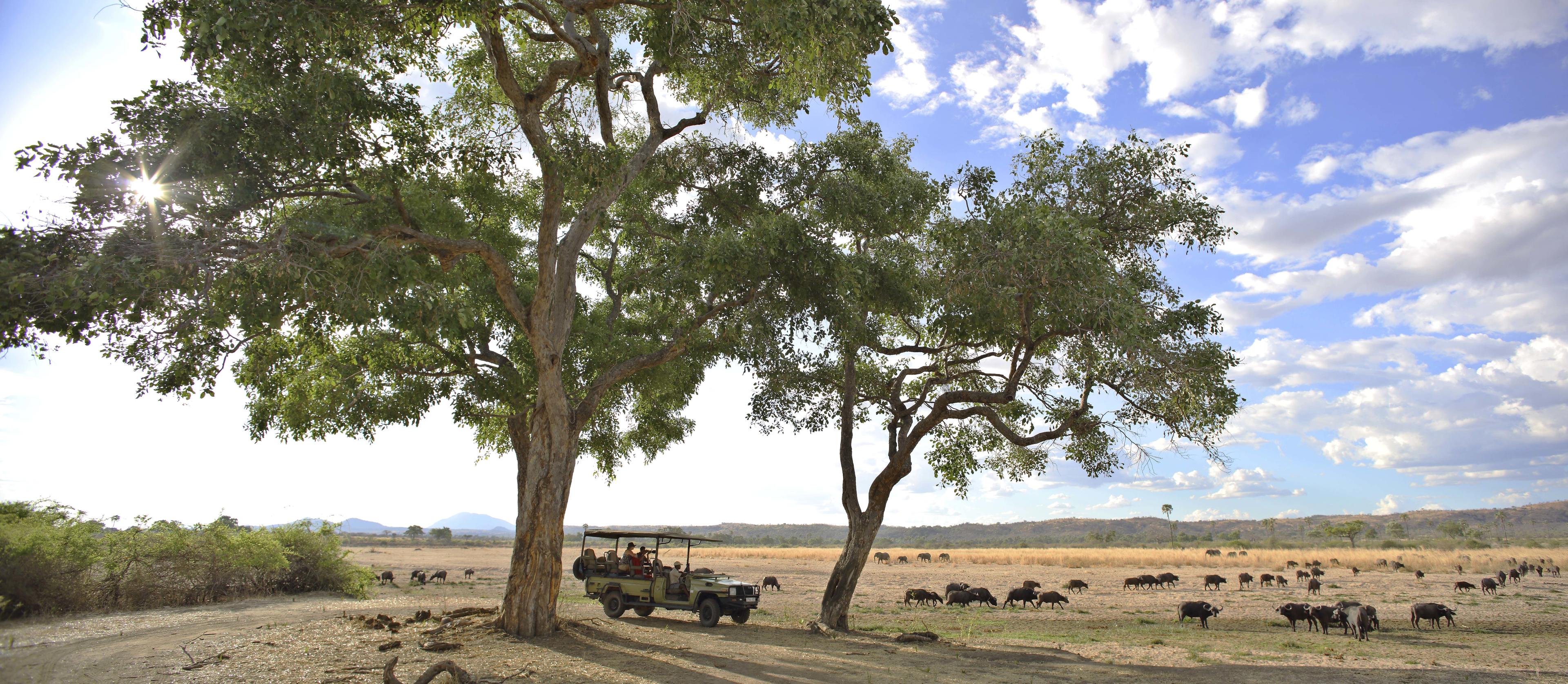 Jabali Private House thumbnail 11