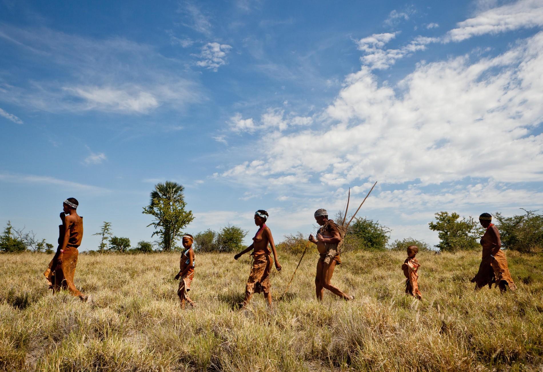 Jack's Camp thumbnail 6