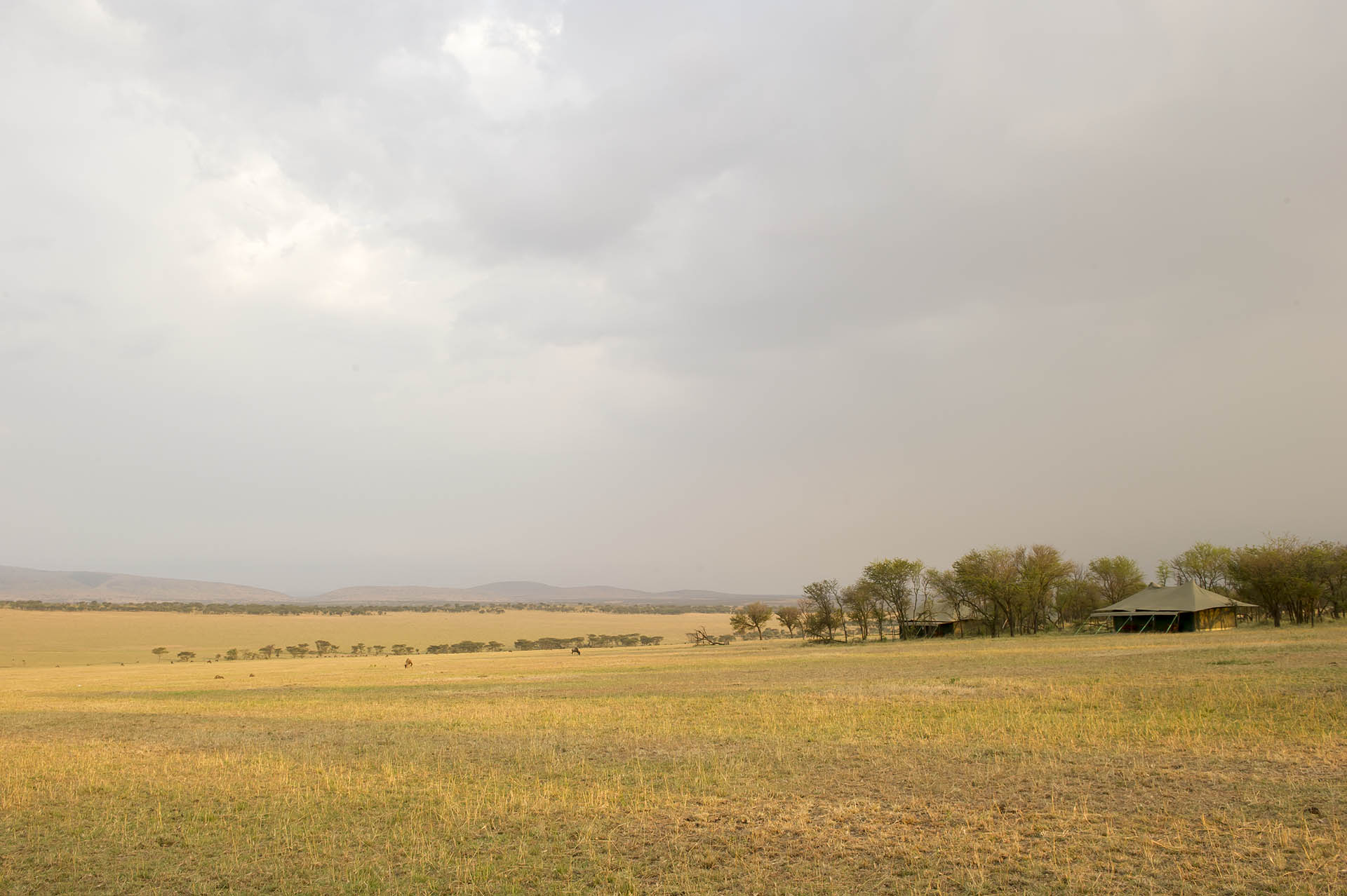 Kaskaz Mara Camp thumbnail 5