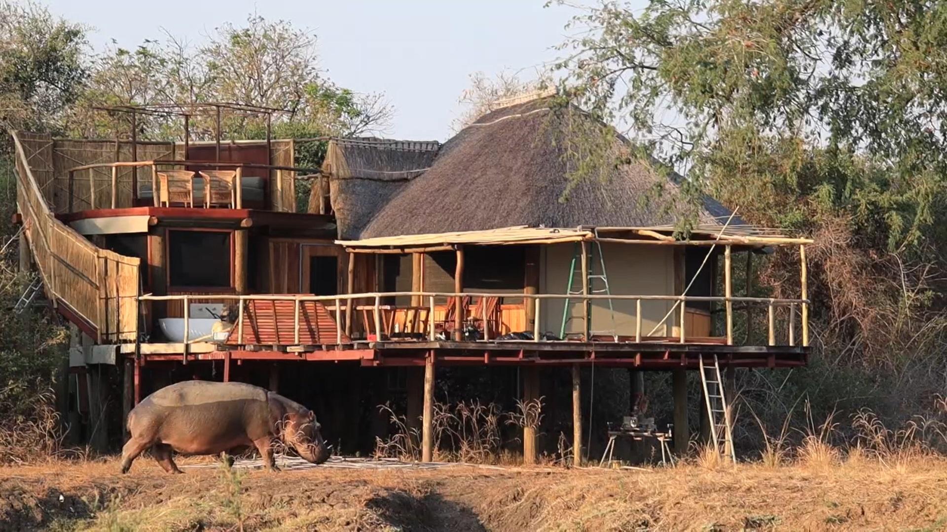 Lion Camp thumbnail 4