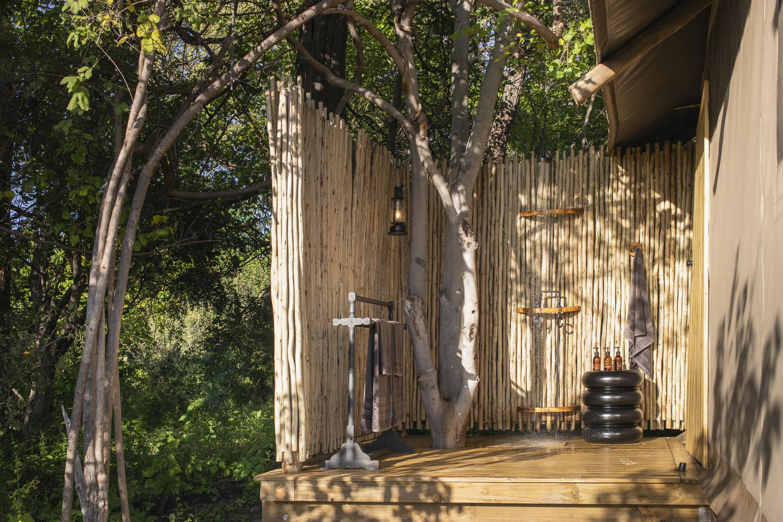 Little Sable thumbnail 4