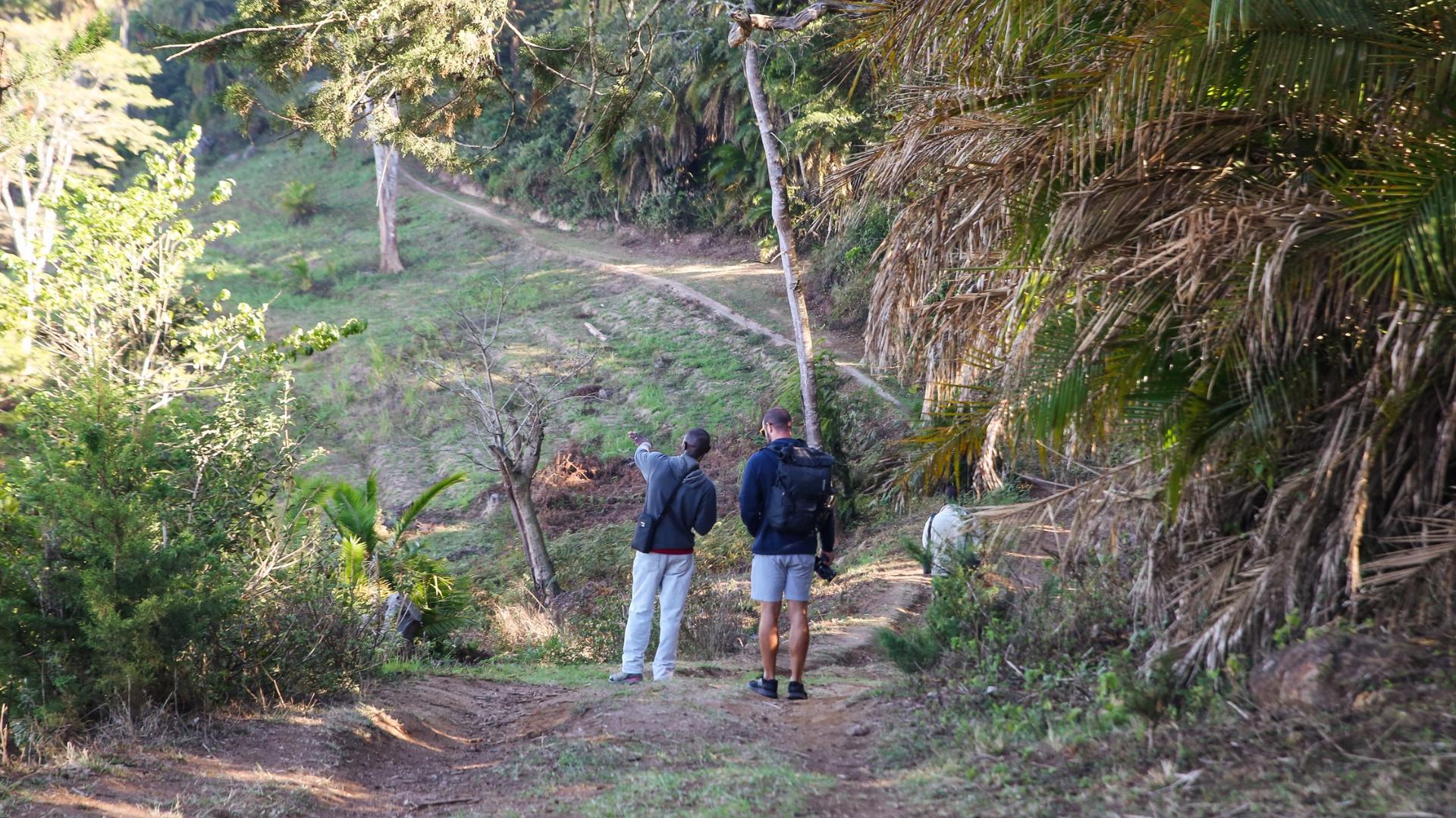 Soroi Leopard's Lair thumbnail 5